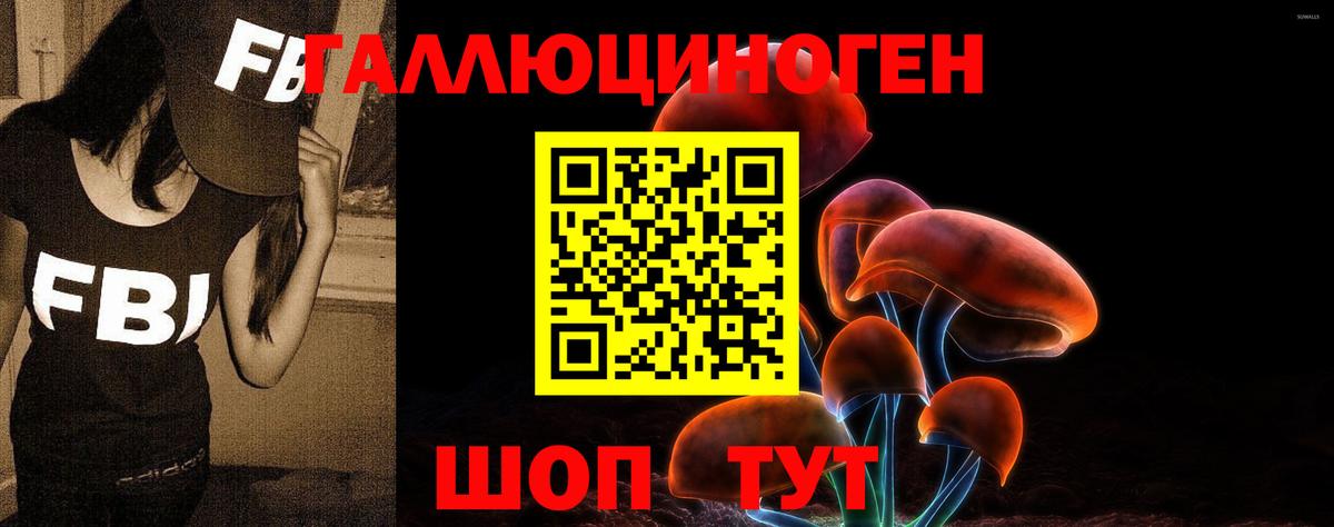 Галлюциногенные грибы Psilocybe  Псилоцибиновые грибы Psilocybe  где можно купить наркотик  Вход с VPN  Каменка 