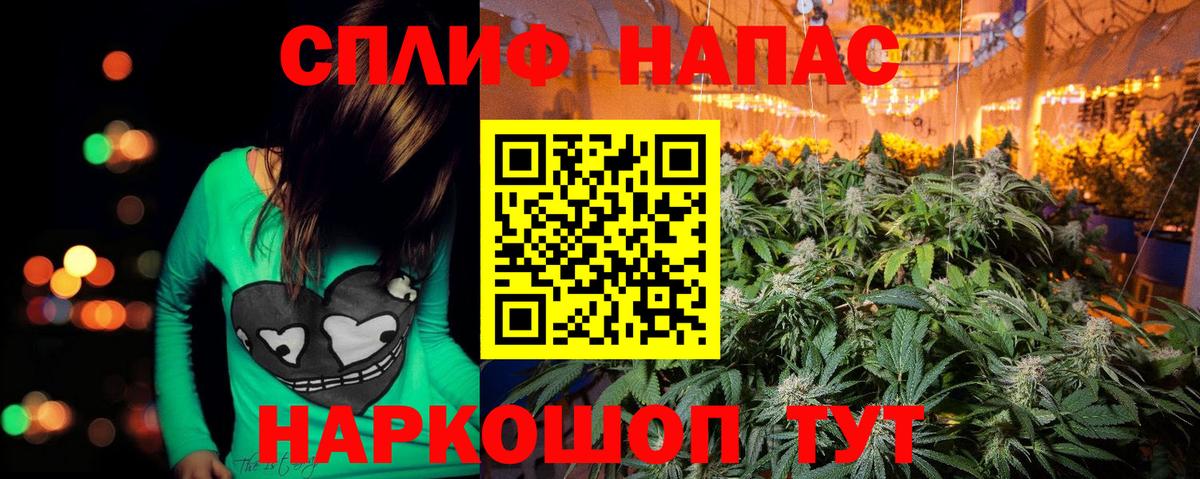 Конопля SATIVA & INDICA  Вход с VPN  Канабис планчик  Каменка 